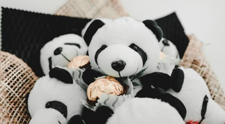 different types of teddy bears