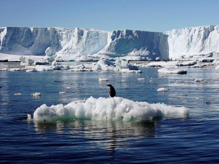 antarctica climate change