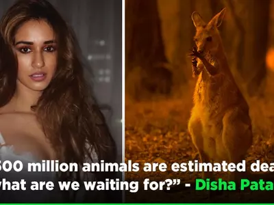 After Hollywood Celebs Come Out In Support, Bollywood Also Shows Concern On Australia Wildfires