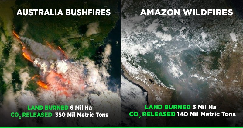 Australia Bushfires Have Burned More Than Twice The Land As Amazon ...