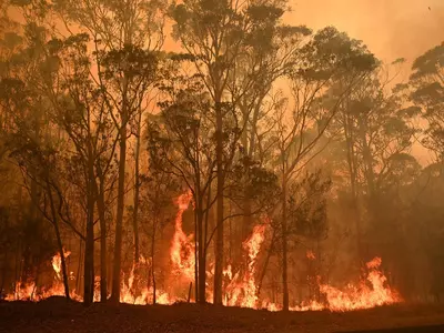 Deadly Bushfire Rages on in Australia