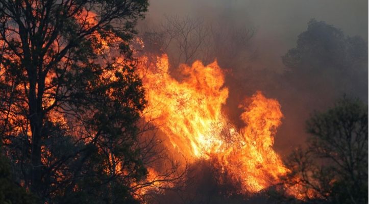 Woman Raises Rs Crore In Days For Australian Fires By Sending Nudes To Every Single Donor