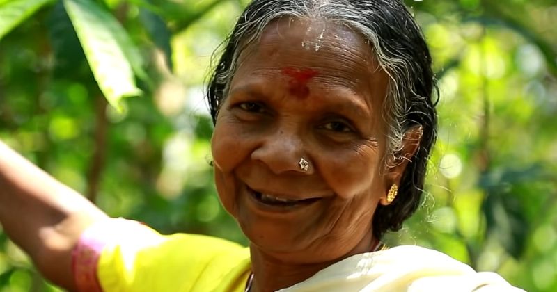 This 75 Year Old Grandma Who Heals Poison Attacks And Saves Lives