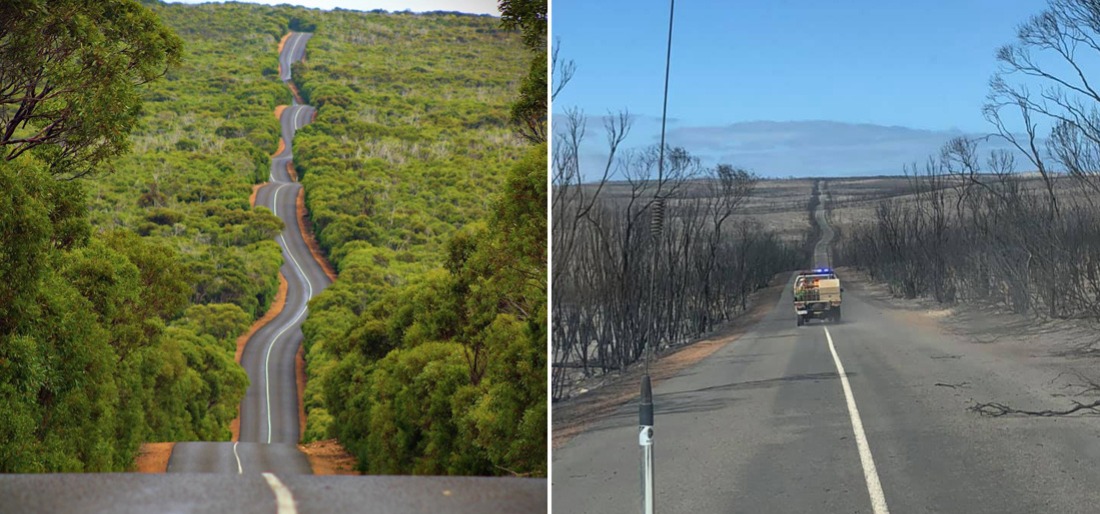 Effects Of Bushfires