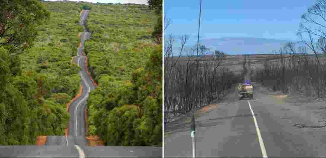 australia bushfire before and after