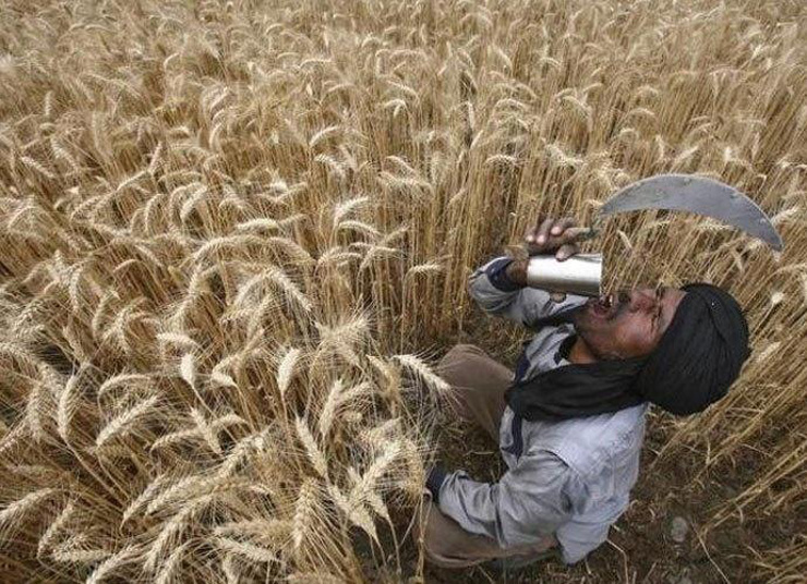 10,349 Farmers Committed Suicide In 2018 Despite Govt's So-Called Pro ...