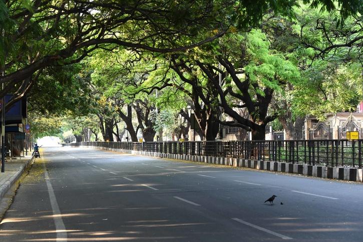 Two Years On, Miyawaki Forest In Mumbai Is Showing The Way For Other ...