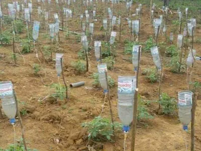 irrigation farming
