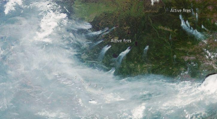 Arctic Fires In 2020: Deadly Arctic Wildfires Are Causing Record-Breaking Pollution