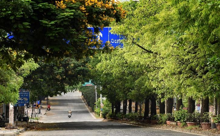KRDCL, KRDCL Tree Cutting, Bengaluru Trees, Bengaluru Tree Cutting, Anekal, Nelamangala, Harohalli, KR Puram, Bengaluru Environment, Environmental Impact Assessment 