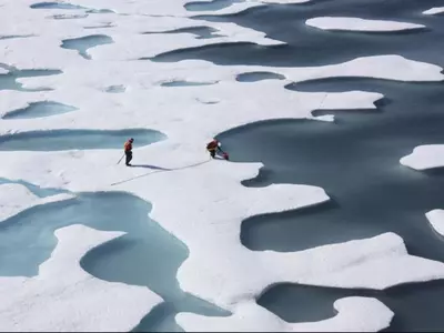 Arctic Sea Ice Crash/Reuters