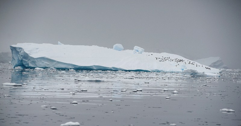 Hidden Ocean Under Antarctica Is Affecting Global Sea Level Rise In ...