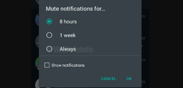 WhatsApp To Bring 'Always Mute' Notification Option To Users Soon