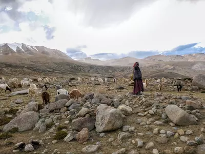 Previously, Indian tourists were only allowed to visit areas beyond Panamik till Warshi including Yarma Gompa/Yarma Gonbo Monastery in Leh’s Nubra Valley.