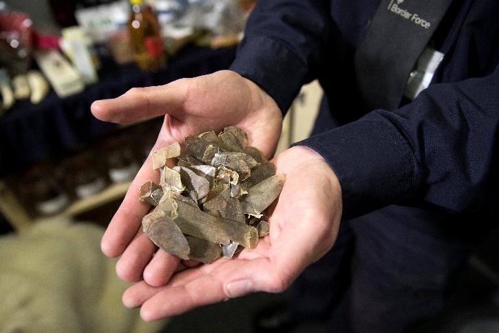 China Bans Pangolin Scales From Medicine List