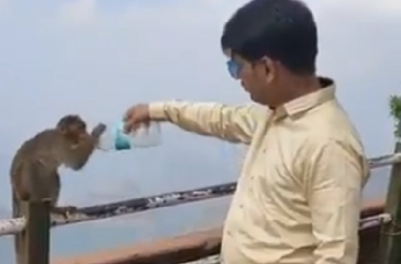 Man Offers Monkey Water From Bottle