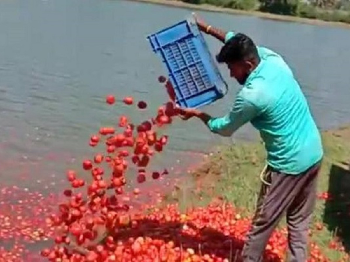 Disgruntled With The Administration, Angry Farmer Dumps Three Tonnes Of  Tomatoes In A Lake