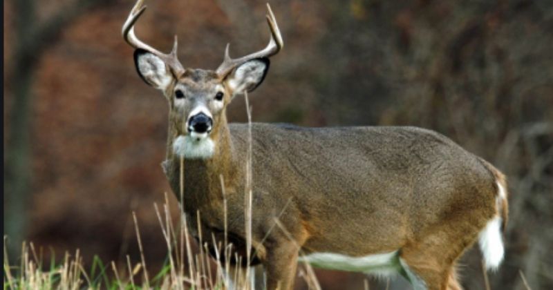 Hackensack New Jersey Wikipedia