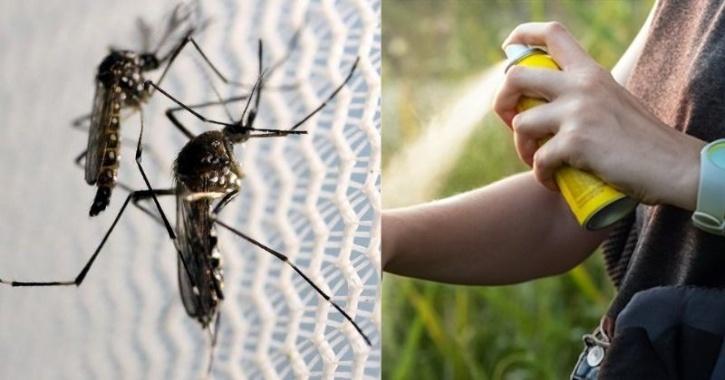 Scientists Find Best Way To Get Rid Of Mosquitoes, And Baking Yeast Is ...