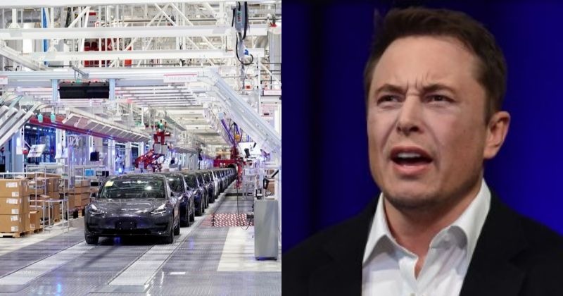 The Real Reason Elon Musk Shut Down Tesla Dojo: The Full Story - odobq2y