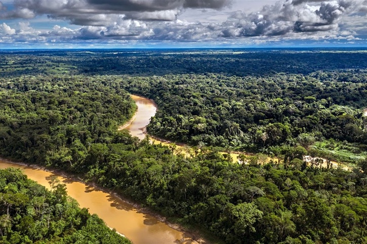 A Brazilian Ecologist Feels Amazon Rainforest May Be Next COVID-19 Hot ...