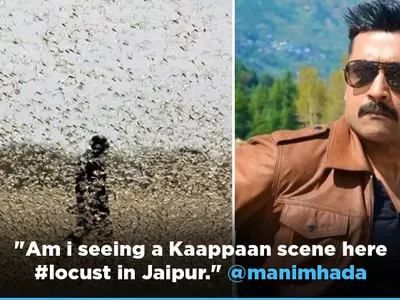 People Compare Locust Attack To Scenes In Suriya's Tamil Film 'Kaappaan', Call Him A Visionary