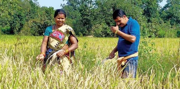 Farming Politician - Odisha MLA Remains True To His Roots, Harvests ...