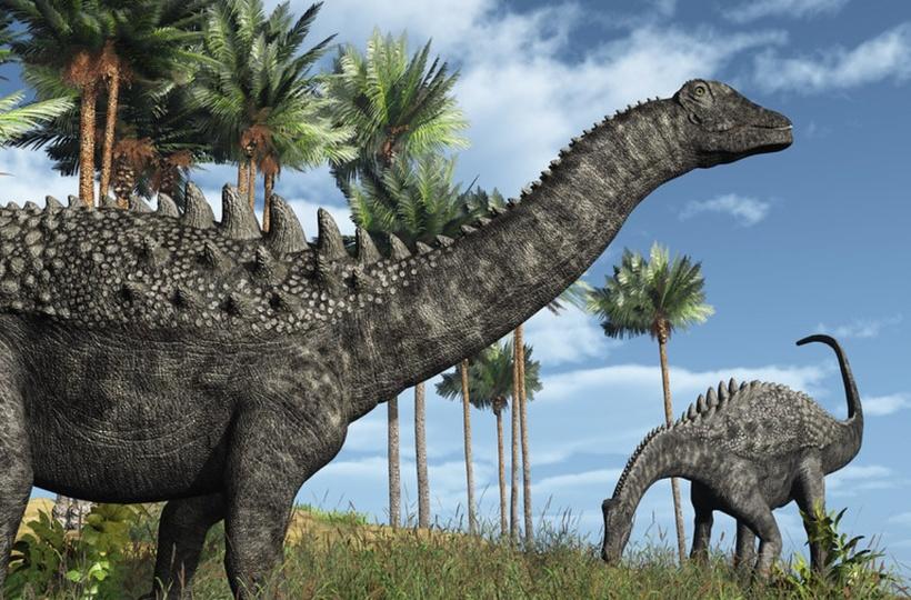 Dinosaurs were 'thriving' and might have lived on if asteroid hadn