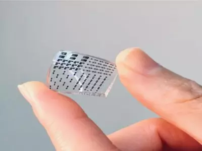 Scientists Develop Electronic Skin That Can Heal Itself More Than 5,000 Times