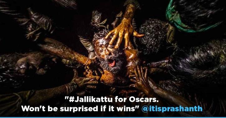 Jallikattu Is India S Entry For Oscars 2021 Kbc 12 Gets