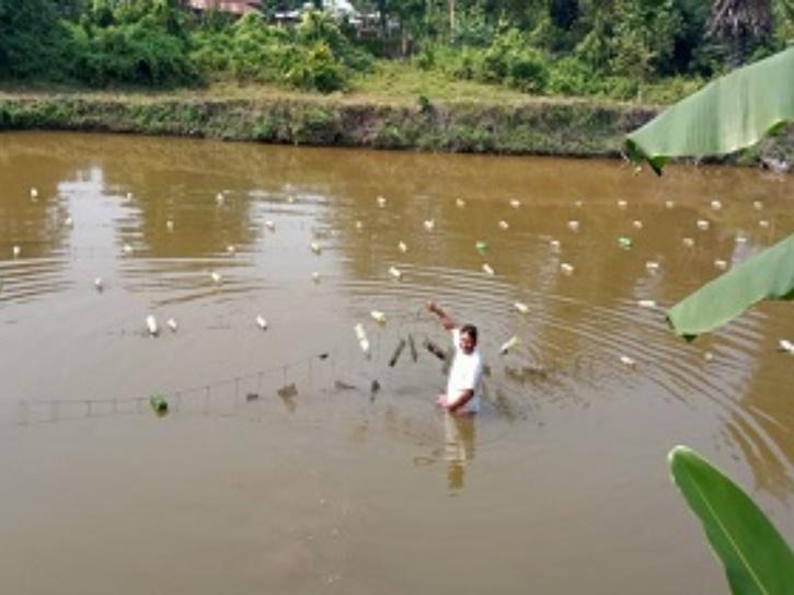 cultivating-pearl-seed-pond