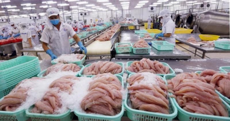 China Suspends Frozen Fish Imports From Indian Firm After Detecting ...