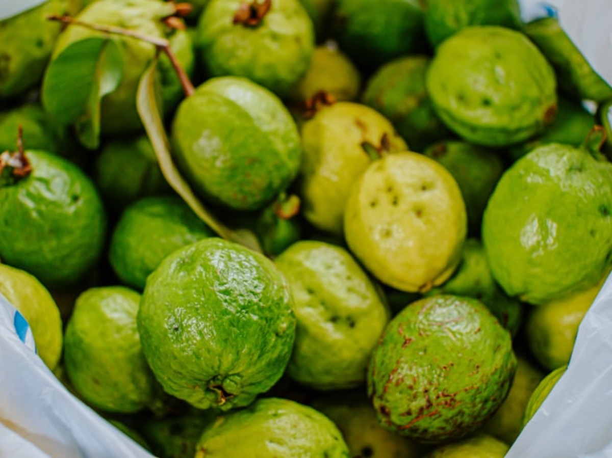 Гуава египетский фрукт. Гуава фрукт полезные. Тропическое яблоко гуава. Гуава в тайланде. Египетская груша гуава.