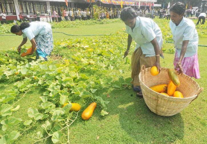 Good News For Farmers In Kerala As The State The First To Fix