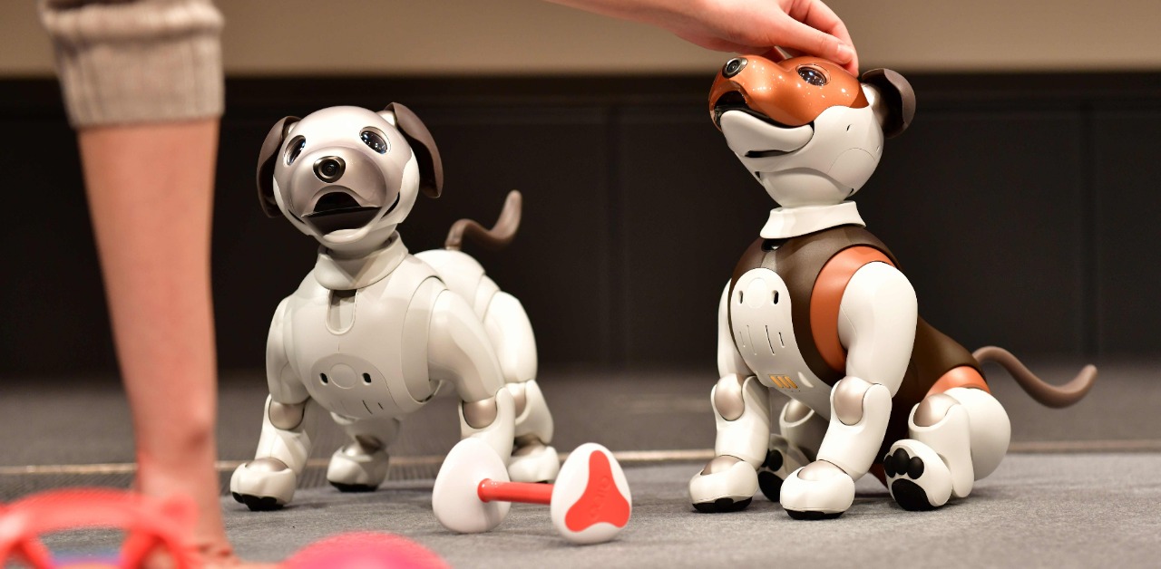 These Robotic Dogs Are Helping Senior Citizens Cope With Loneliness ...