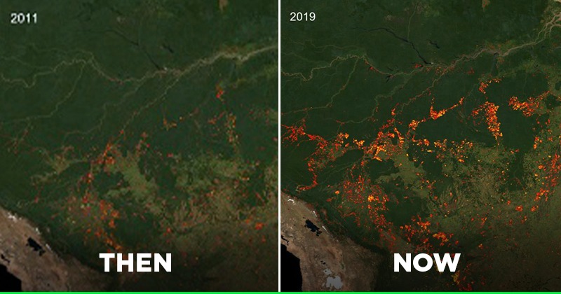 amazon-rainforest-is-nearing-its-demise-all-thanks-to-rampant