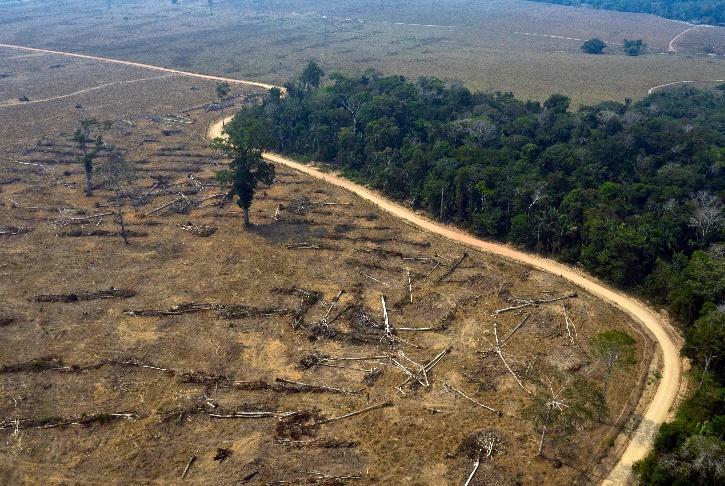 Amazon rainforest dying