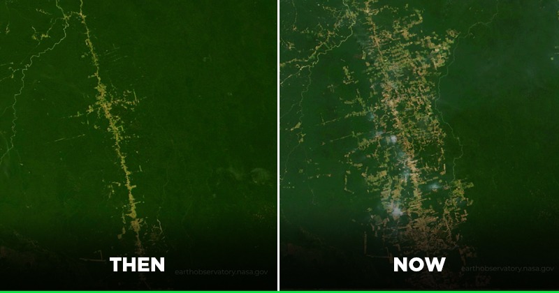 Amazon Rainforest Then Vs Now Comparison Part 1 