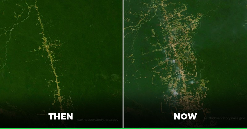 Amazon Rainforest Then Vs Now Comparison - Part 1