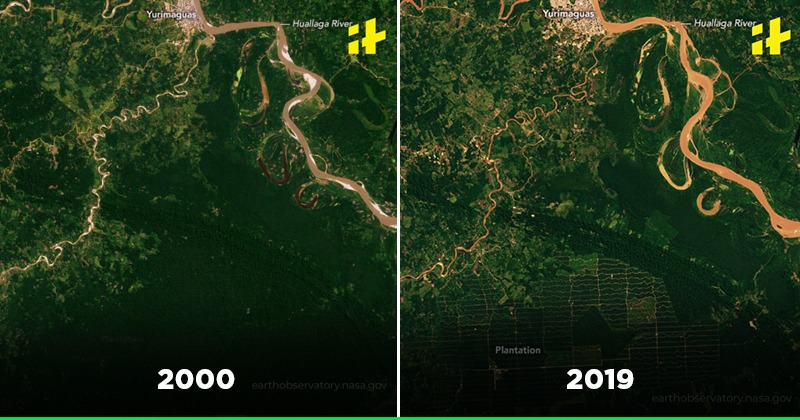 amazon-rainforest-then-vs-now-comparison-part-2