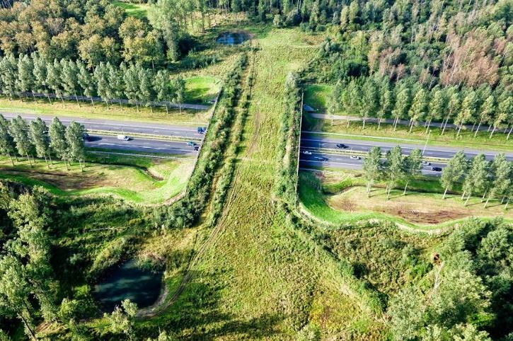 Delhi-Mumbai E-way To Have 5 'Animal Bridges' Delhi-Mumbai E-way To Have 5 'Animal Bridges'
