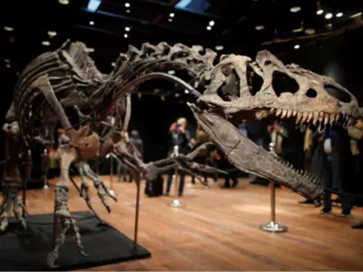 Scientists Recreate Dinosaur Brain To Find Million Year-Old Information About The Extinct Species
