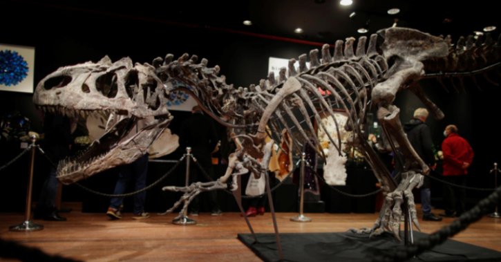  Allosaurus dinosaur sold for 3 million euros