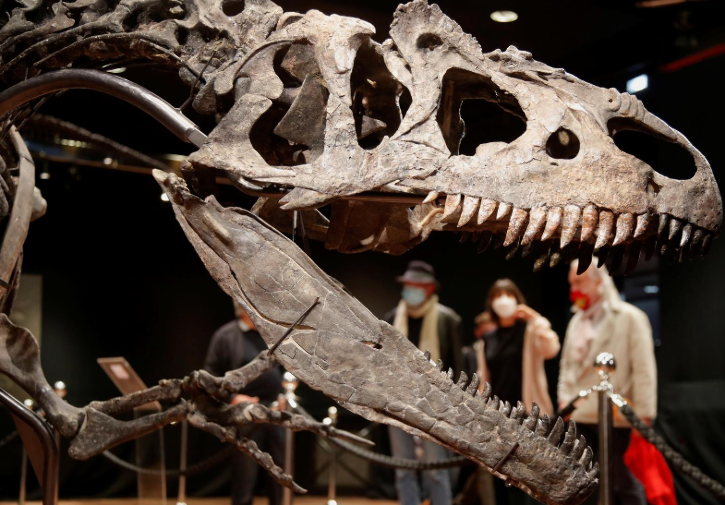 The body of the dinosaur is almost perfectly preserved