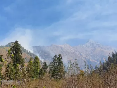 himachal pradesh forest fires