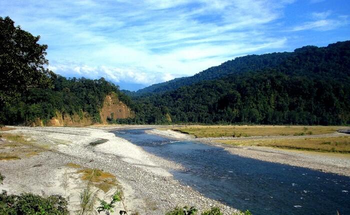 why-a-new-crab-species-is-named-after-arunachal-pradesh-s-pristine-forests