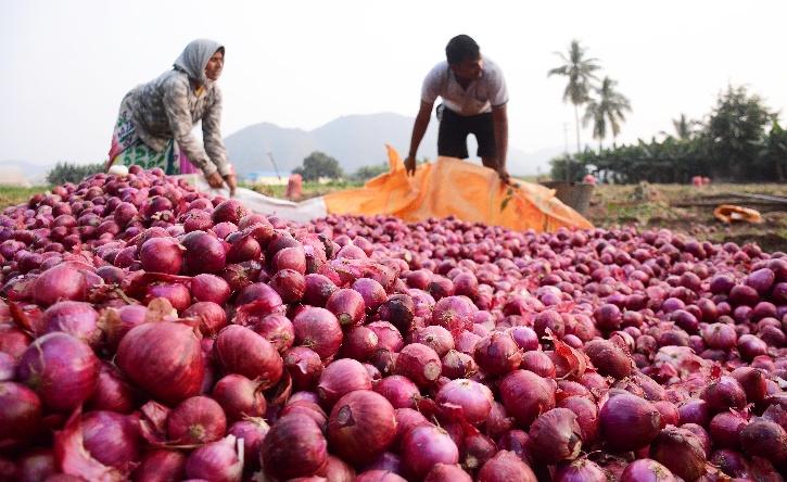 Onion Prices Have Risen So Much That Govt Has Banned All Exports; Even ...