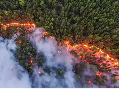 siberia wildfire