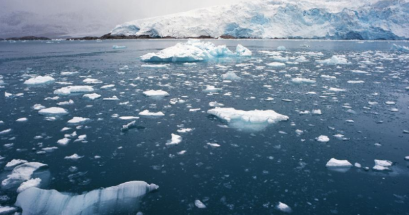 Arctic Climate Change Began Decades Before Current Calculations, Claims Study - India Times