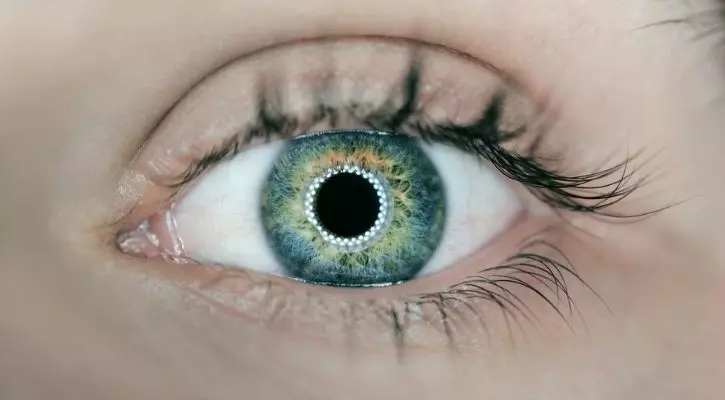 Doctors Build World’s First Bionic Eye To Fully Restore Vision In Blind ...